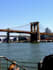 suggest 5 fun and exciting things to do in NYC