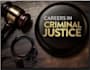 write oscola papers in criminal justice, law and cases