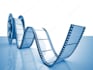create world class video for you