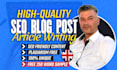 write high quality SEO articles and blog posts
