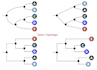 do your phylogeny and biogeography analysis