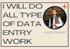 do fast excel data entry in less price