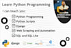 teach, tutor, or help you learn python programming or django
