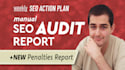 create an expert SEO audit report with action plan and penalty checks