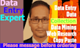 do expert fast excel data entry,data mining,web scraping