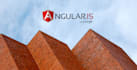 help you with AngularJS challenges