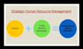 do essays, reports and projects in strategic human resource management