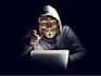 fix and clean your hacked website
