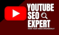 do the best youtube video SEO for organic ranking