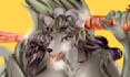 draw furry art, fursona or anthro character sfw or nsfw