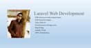 fix bugs and develop custom php laravel websites