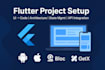 setup your flutter project professionally