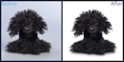 do 10 image masking completely