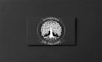make amazing modern eye catchy life tree logo design