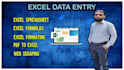 do fast, mistake less data entry from pdf to excel and create custom sheets