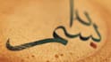 high quality calligraphy reveal animation