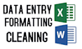 do data entry, format, clean, cleaning of microsoft excel, google sheet, word
