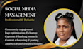 manage your social media accounts professionally