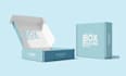 do 3d mailer box and box mockups