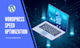 fully speed optimize wordpress website