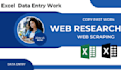 be your fast and perfect virtual assistant for data entry