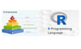 do statistical analysis by using r language