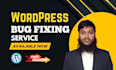 fix bugs or customize your wordpress website