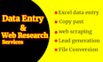 do data entry,  web research, and excel data entry