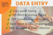 provide data entry and data management services