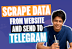 create a professional telegram bot for your business