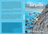 create eye catching book covers