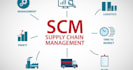 handle procurement, supply chain, and logistics tasks