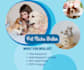 write SEO friendly articles in pet niche cat and dog niche