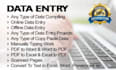 do expertise data entry work in ms word and ms excel
