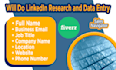 do linkedin research and data entry
