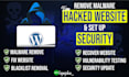 remove malware,recover hacked wordpress website and set up security