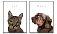 draw cartoon pet portraits, dogs, cats cartoon pet portraits