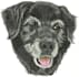digitize image for embroidery, custom embroidery digitizing, embroidery logo