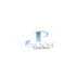 design paradise glass and mirror logo