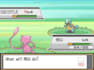 randomized rom pokemon gba, nds