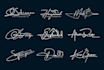 create luxury handwritten signature logo