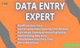 do excel data entry, data collection, web research, finding email addresses