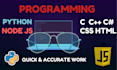 do computer science programming tasks and projects