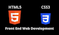 build custom web development with HTML, CSS, javascript