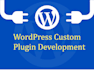 wordpress plugin development services