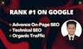 do wordpress onpage seo optimization for your website