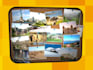 make you a virtual corkboard clip with your images