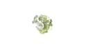 clear nature logo animation