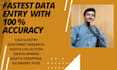 fastest data entry in one day, internet research