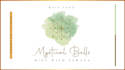 do sacred geometry or mystical logo with branding